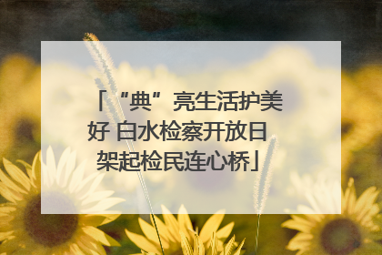 “典”亮生活护美好 白水检察开放日架起检民连心桥